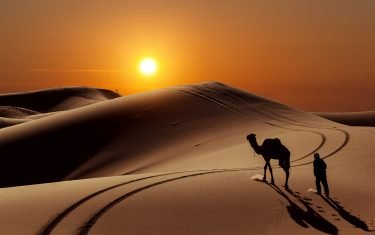 Sun People Desert Camel
