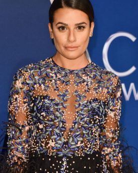 Lea michele at cma awards 2017, nashville