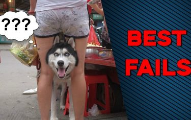 Best fails compilation march 2018