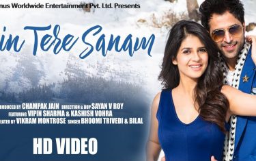 Bin tere sanam song by bhoomi trivedi & bilal